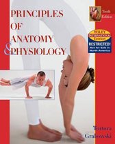 basic questions and answers on organisation of the body in  anatomy and physiology