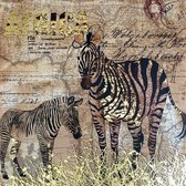 50 x 50 cm - Olieverfschilderij - Zebra's - canvas - handgeschilderd