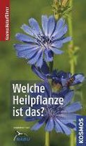 Welche Heilpflanze ist das?