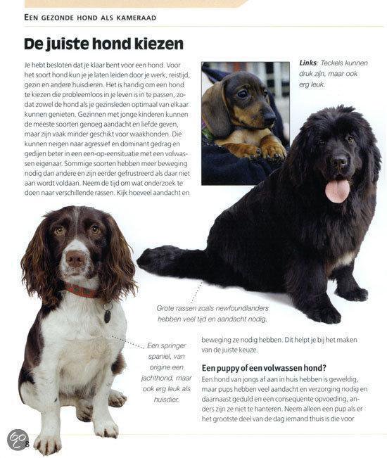 Klein medisch handboek honden