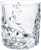 Nachtmann Whiskeyglas Sculpture