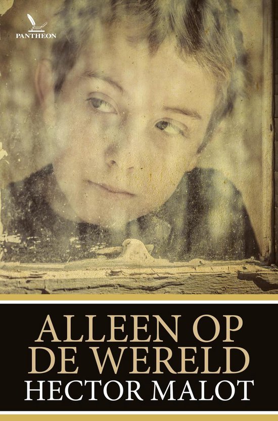 Alleen op de wereld, Hector Malot 9789049901349 Boeken bol Alleen op de wereld, Hector Malot 9789049901349 Boeken bol