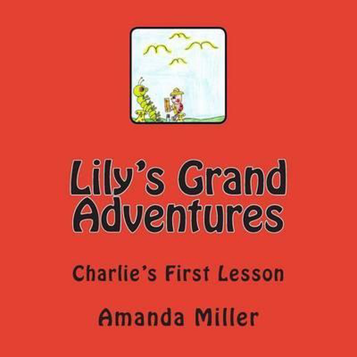 Lily's Grand Adventures- Lily's Grand Adventures van Amanda C. Miller
