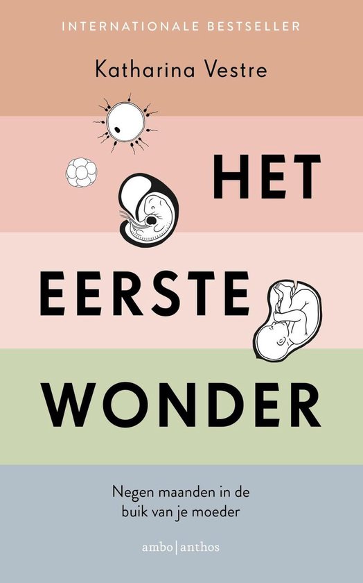 Het eerste wonder - cover