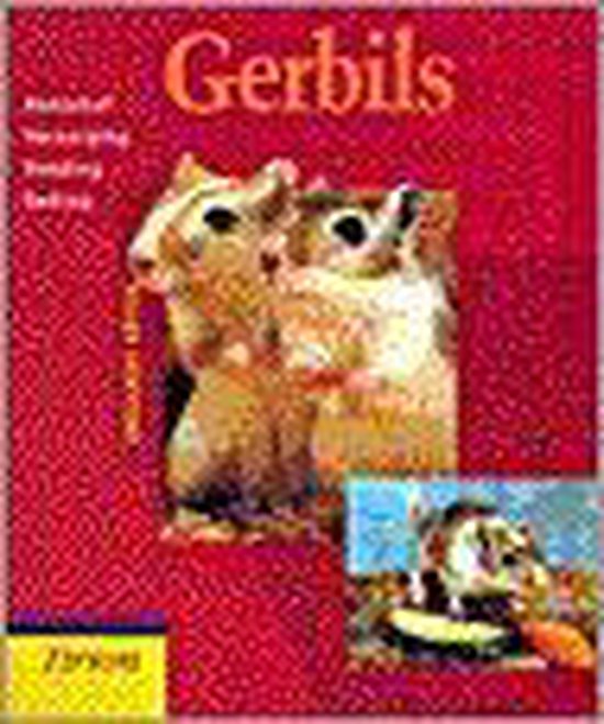 Gerbils