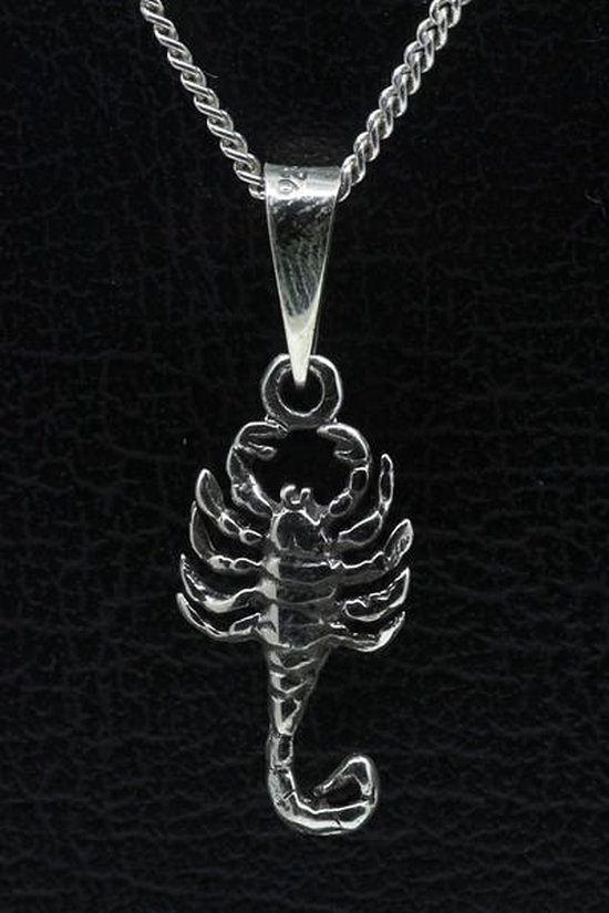 Zilveren Schorpioen ketting hanger | bol