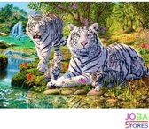 Diamond Painting "JobaStores®" Witte Tijgers - volledig - 50x40cm