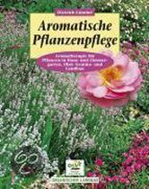 Aromatische Pflanzenpflege