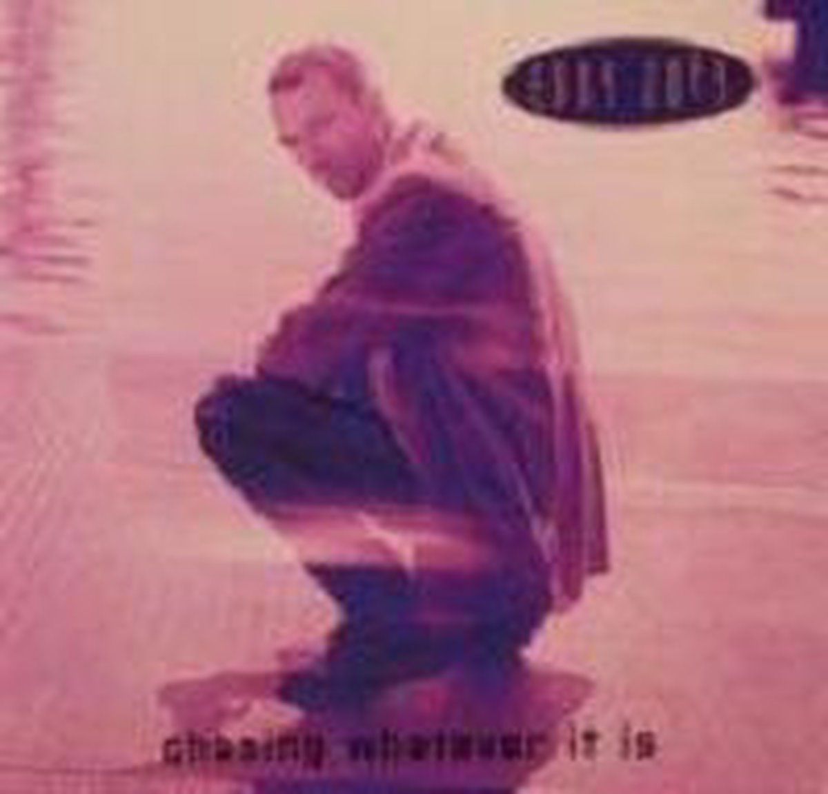 Chasing whatever it is