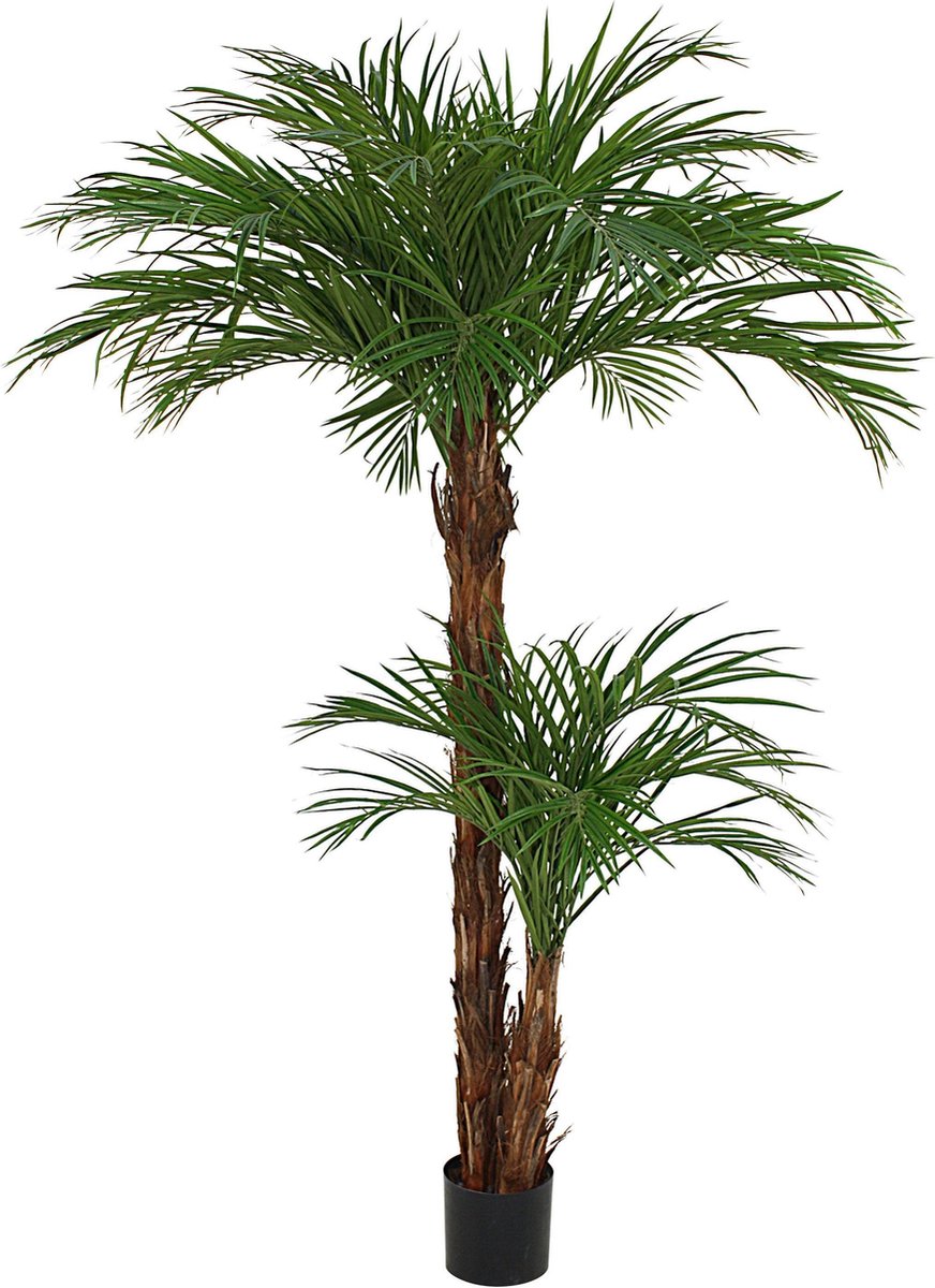 Designplants Areca Palm Kunstplant