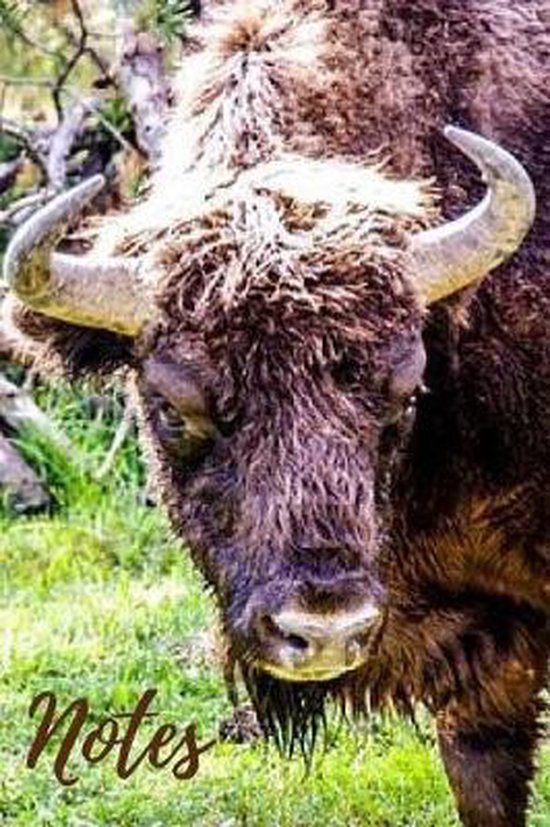 Bison Notebook, Animal Gifts And Notebooks | 9781095762776 | Boeken ...