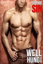 Erotic Short Stories Collections - Well Hung Erotica Vol. 4