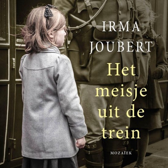 Het meisje uit de trein - cover