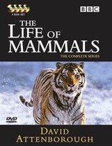 Life Of Mammals -Boxset-