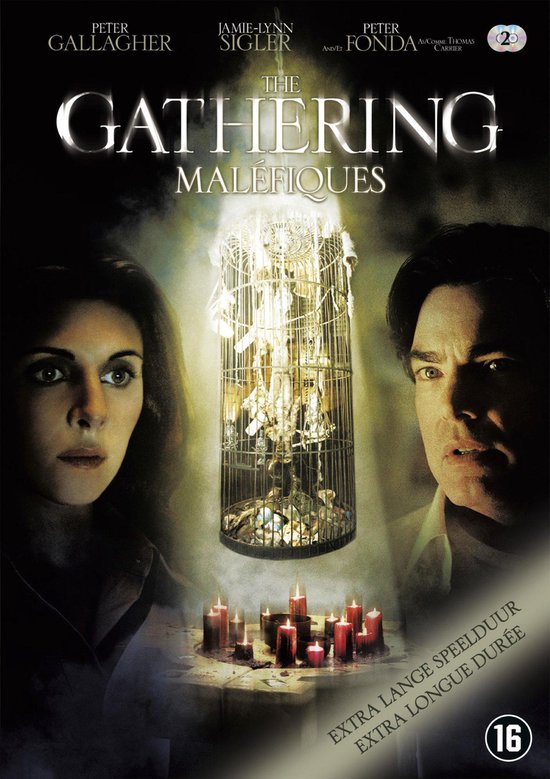 Cover van de film 'The Gathering'