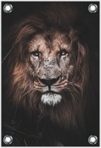 Tuinposter – Leeuwen Kop– 40x60cm Foto op Tuinposter (wanddecoratie voor buiten en binnen)