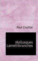 Mollusques Lamellibranches