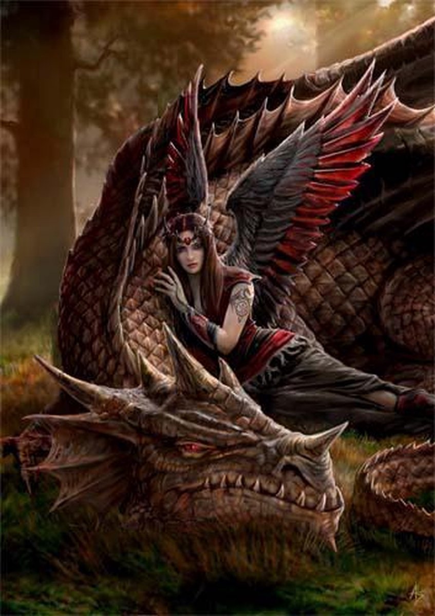Anne Stokes Wenskaart Winged Companions