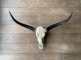 Longhorn skull 1 meter | Vayden
