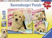 Ravensburger puzzel Schattige hondjes - 3x49 stukjes - kinderpuzzel
