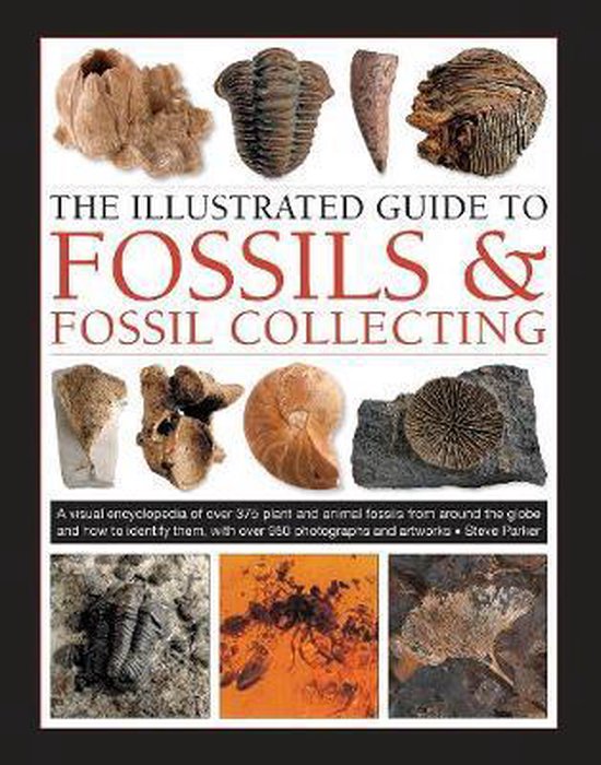 Fossils Fossil Collecting, The Illustrated Guide to A refere ... - cover