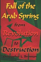 Fall of the Arab Spring