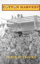 Cotton Harvest