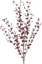 Europalms Eucalyptusspray, rood, 110cm