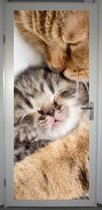 Deurposter 'Kitten 1' - deursticker 75x195 cm