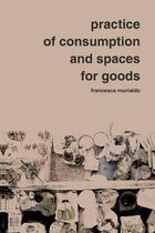 Practice of Consumption and Spaces for Goods