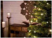 Kerstverlichting / Lichtsnoer / Kerstboomverlichting Micro (7 meter)