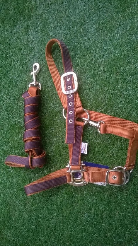 HH 2T nylon halsterset - maat pony - Amber