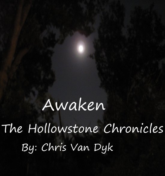 Awaken: The Hollowstone Chronicles - cover