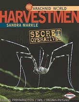 Harvestmen