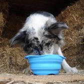 Beco Travel Bowl - Opvouwbare Hondenbak, handig voor onderweg! - Vaatwasserbestendig in Blauw, Roze of Groen - Kleur: Blauw, Maat: Small