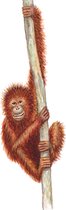 Muursticker aap - babykamer - kinderkamer - dieren in aquarel - wanddecoratie - 30 x 80 cm