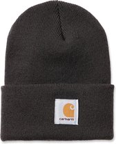 carhartt beanie dark green