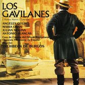 Gavilanes