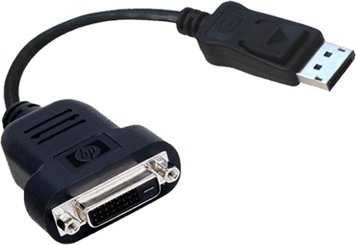 HP 481409-001 – DisplayPort naar DVI-D Dual-Link Adapterkabel – 20 cm – Zwart
