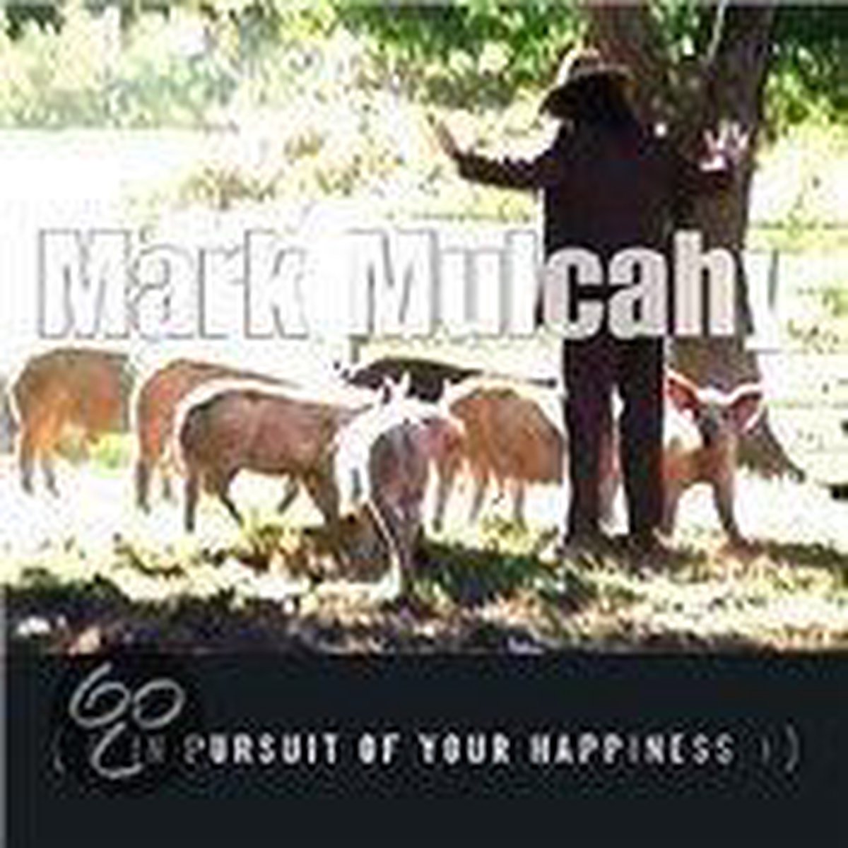 Mulcahy Mark - In Pursuit Of Your Happin