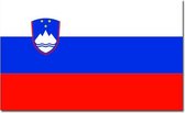 Vlag Slovenie 90 x 150 cm feestartikelen - Slovenie landen thema supporter/fan decoratie artikelen