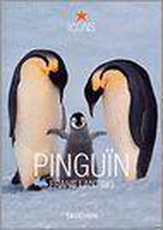 Pinguin - Frans Lanting | Respetofundacion.org