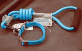 TOUCHDOG Halsband Touchdog halsband met lijn lijn 9mm halsband 20mm blauw - 1 ST