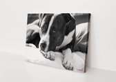 Hond | Zwart-wit | Dieren | Stichting BY Amanda | Canvasdoek | Wanddecoratie | 90CM x 60CM | Schilderij