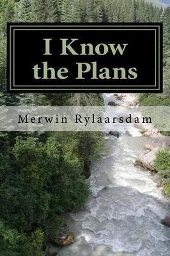 I Know the Plans - cover