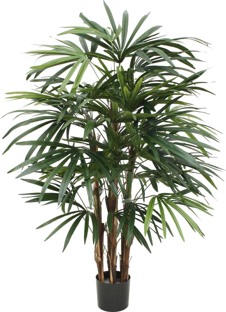 Designplants Raphis Palm Kunstplant