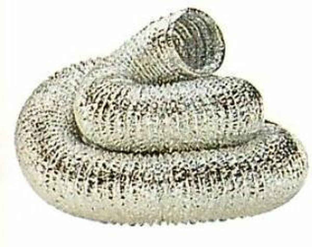 NOVY BUIS ALUMINIUM 906218