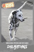 Unbelievable Pictures and Facts About Dalmatians