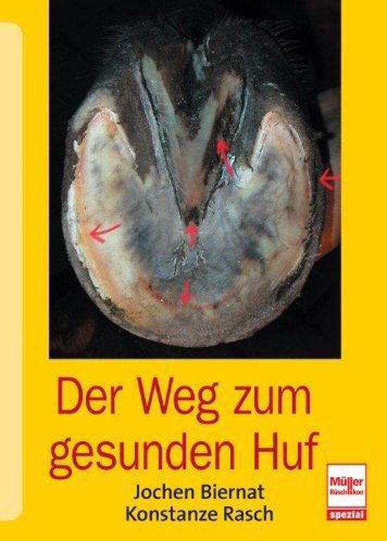 De weg naar een gezonde hoef: close-up van een paardenhoef met rode pijlen die specifieke gebieden markeren. Titel: Der Weg zum gesunden Huf.