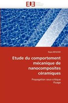 Etude Du Comportement M�canique de Nanocomposites C�ramiques